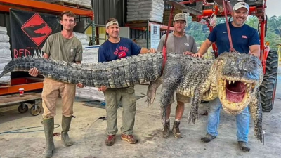 4.3m 거대 괴물의 정체 “공룡인줄, 7시간 사투 끝에 잡았다”