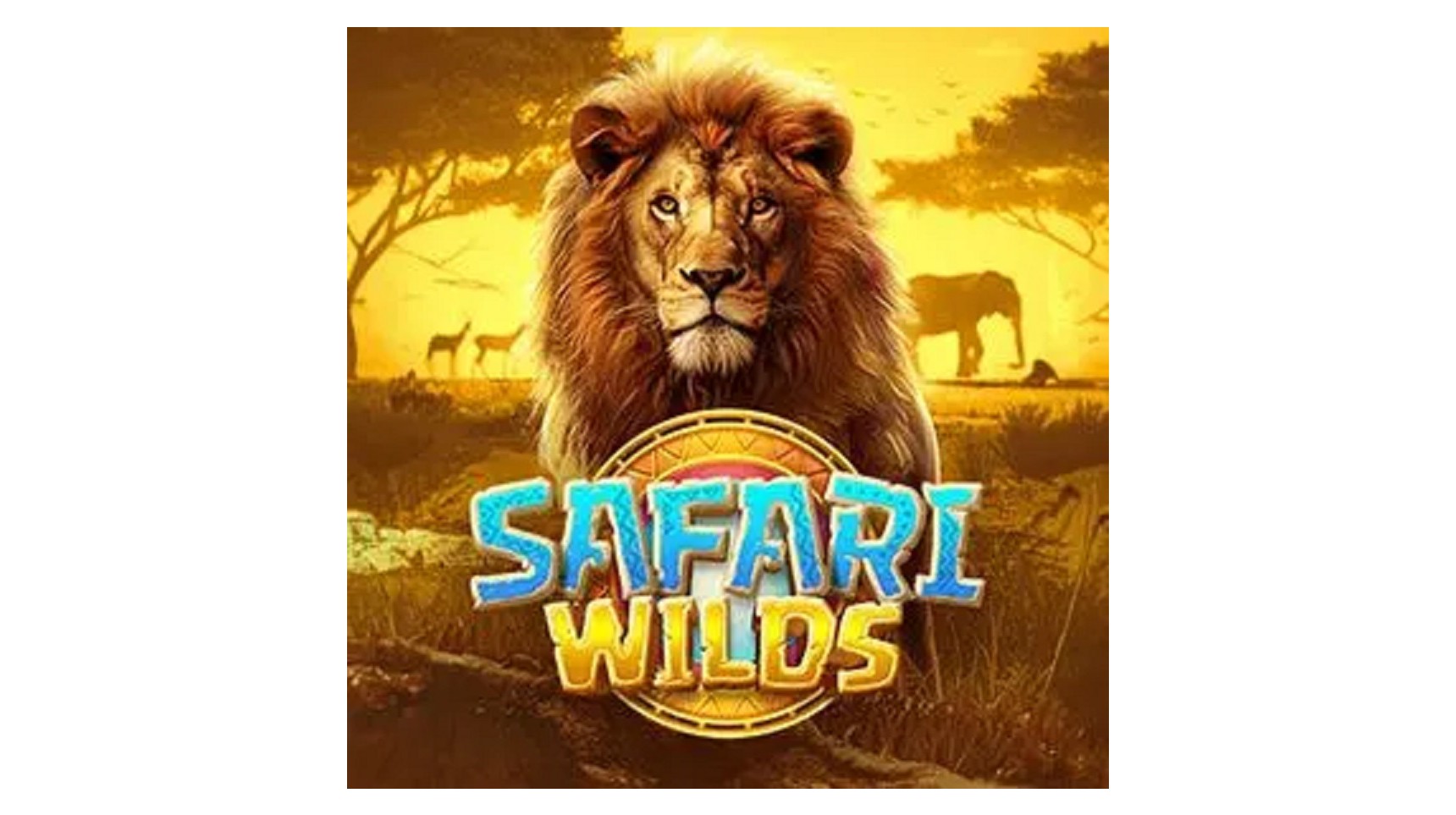 슬롯 커뮤니티 슬롯 마켓에서 제공하는 피지소프트 무료 슬롯 게임 [Safari Wilds]