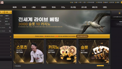 백호 lt-999.com 지인에게 돈 빌린 내역까지 증빙 요구하며 먹튀