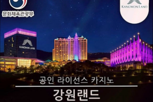 강원랜드 사칭 온라인 카지노에 비상