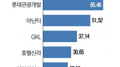 중국인 무비자 입국 기대감 카지노·호텔株 연일 상승세