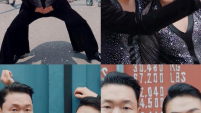 싸이, 이수지 이정도면 친남매