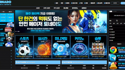 토네이도 tnd11.com 소액 환전은 잘해주더니 고액 환전 신청하니까 바로 차단 먹튀