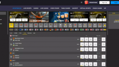 틱톡벳 'tiktokbet.com' 총판 정산금 먹튀