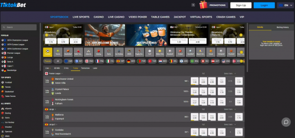 틱톡벳 'tiktokbet.com' 총판 정산금 먹튀