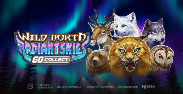 슬롯 커뮤니티 슬롯마켓에서 제공하는 무료 슬롯 게임 [Wild North Radiant Skies Go Collect]