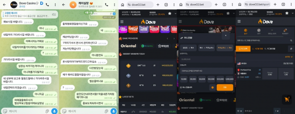 도브 'dove02.bet' 카지노 이용 중 온갖 방해 공작을 펼치더니 환전 안 해 주고 먹튀