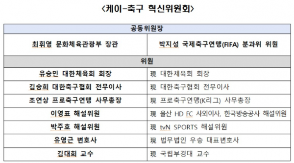 축구혁신위 6일 출범…최휘영 장관·박지성 공동위원장