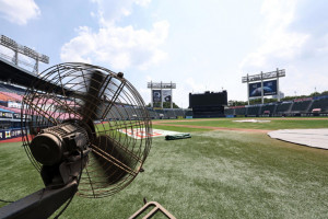 '폭염 비상' 프로야구 멈춘다...KBO, 이틀간 전 경기 취소