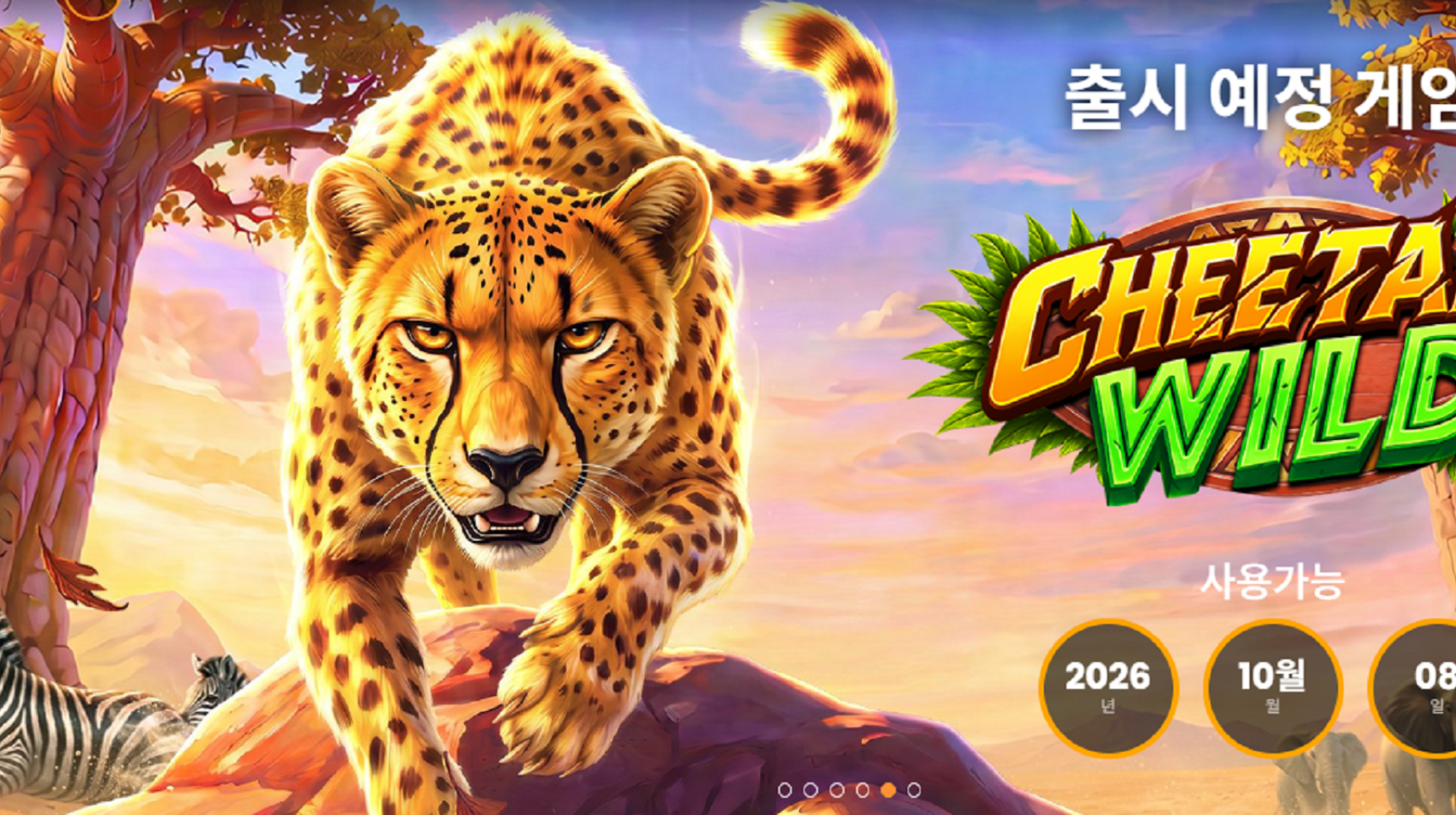 슬롯마켓에서 제공하는 무료 슬롯 게임 [Cheetah Wild]