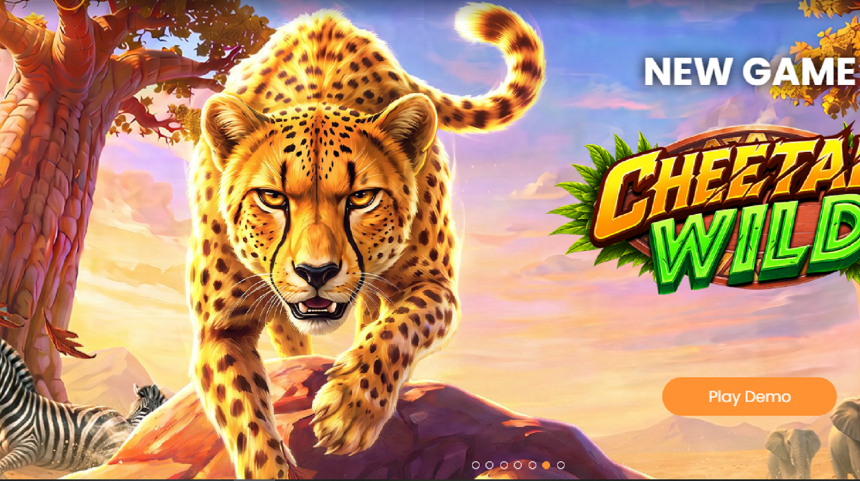 슬롯마켓에서 제공하는 무료 슬롯 게임 [Cheetah Wild]