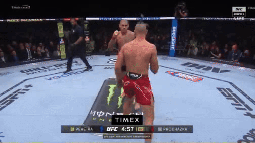 UFC 303: Alex Pereira rocks Jiri Procházka with head-kick KO to defend light heavyweight belt