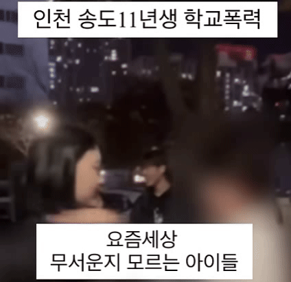 인천 송도에서 여중생이 또래 학생의 뺨을 수차례 때리며 숫자를 세라고 강요…경찰 수사 착수